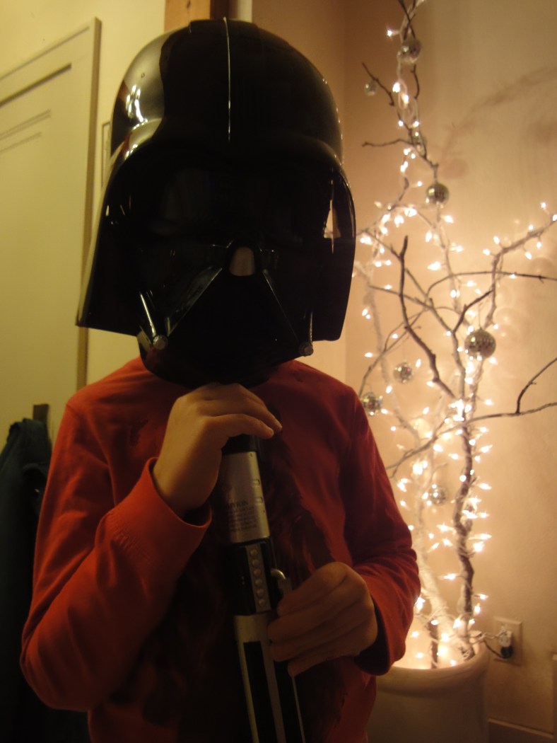 sweet little bird growing