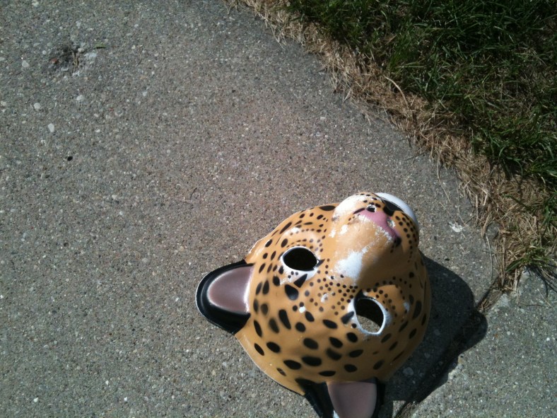 inspirational ground photo